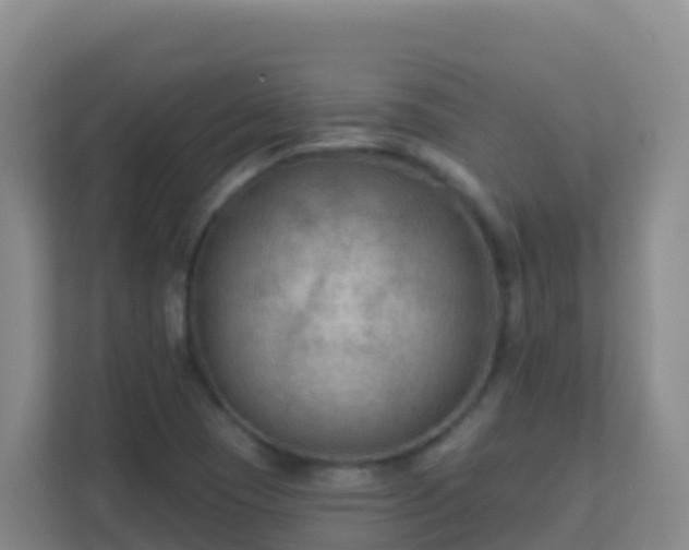 X0000111671409200907241203