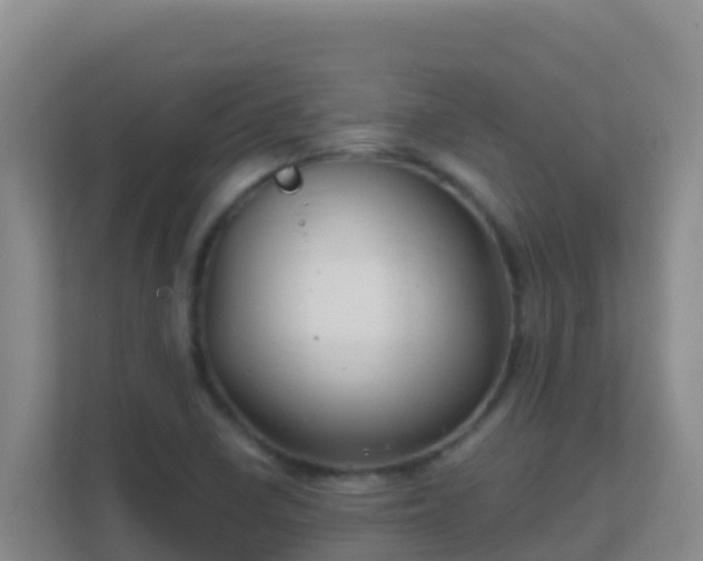 X0000111671410200907241203