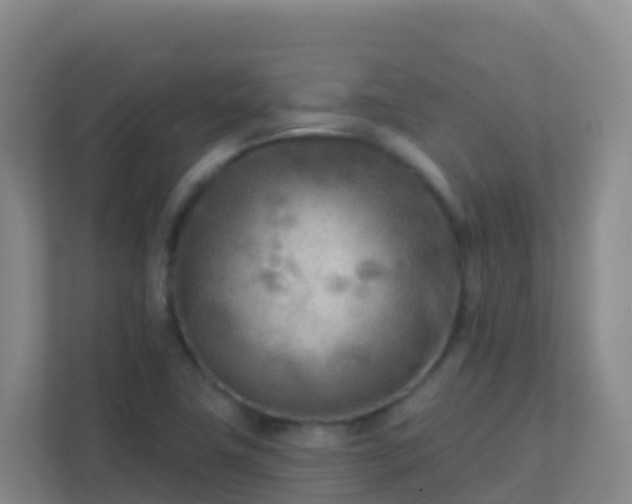 X0000111671411200907241203