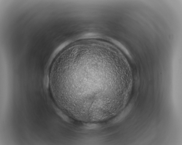 X0000111671413200907241203