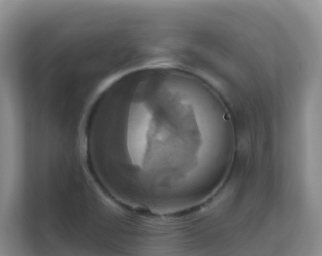 X0000111671414200907241203