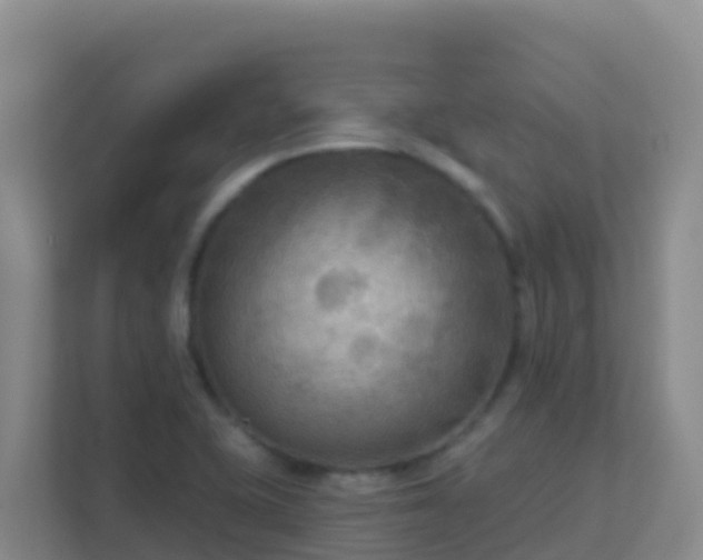 X0000111671415200907241203