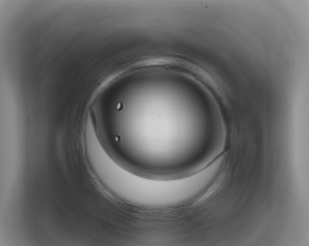 X0000111671417200907241203