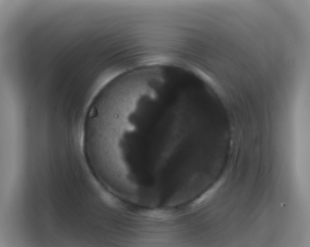 X0000111671418200907241203