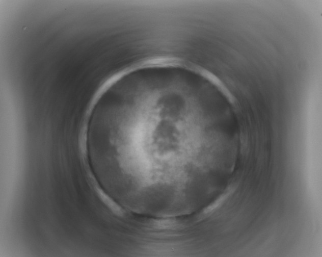 X0000111671421200907241203