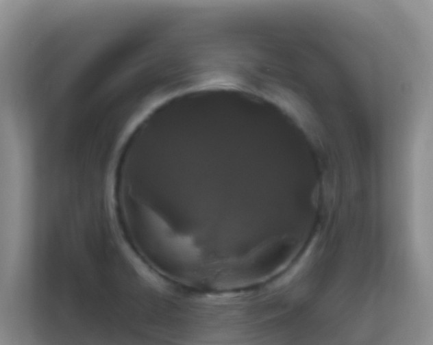 X0000111671422200907241203