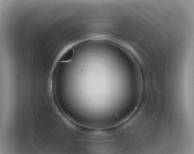 X0000111671424200907241203