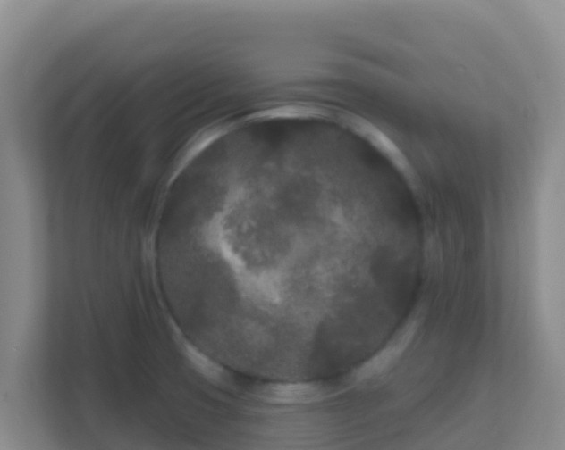 X0000111671425200907241203