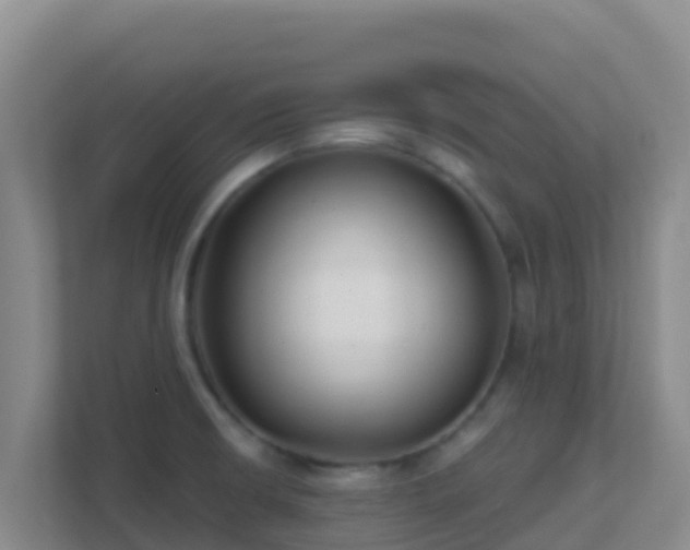 X0000111671426200907241203