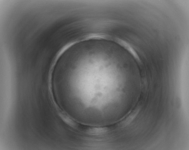 X0000111671427200907241203