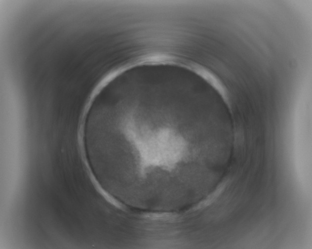 X0000111671429200907241203