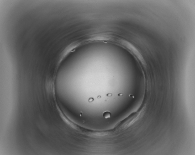 X0000111671433200907241203