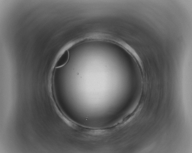 X0000111671437200907241203