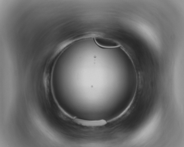 X0000111671438200907241203