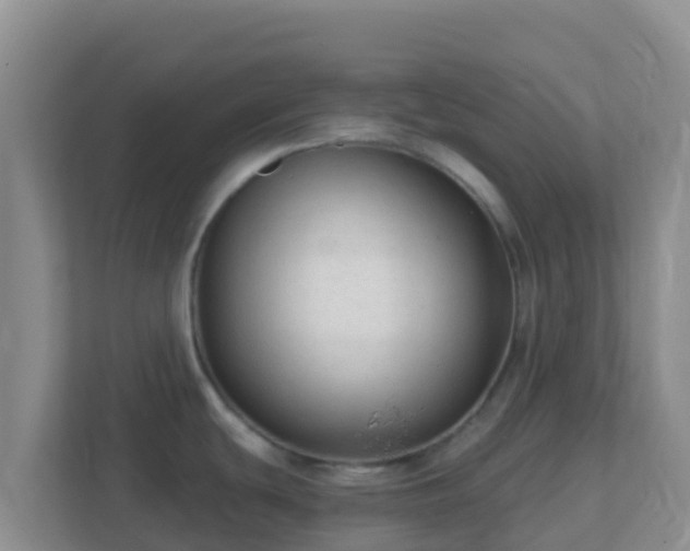 X0000111671439200907241203