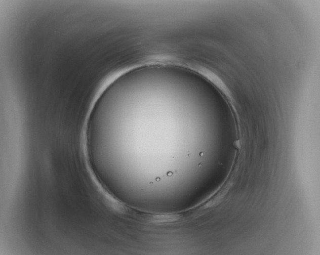 X0000111671440200907241203