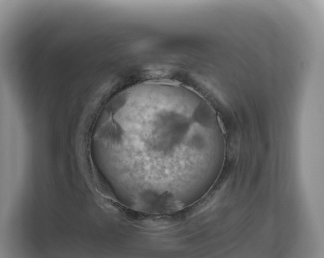 X0000111671441200907241202