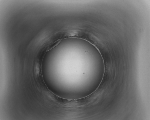 X0000111671442200907241202