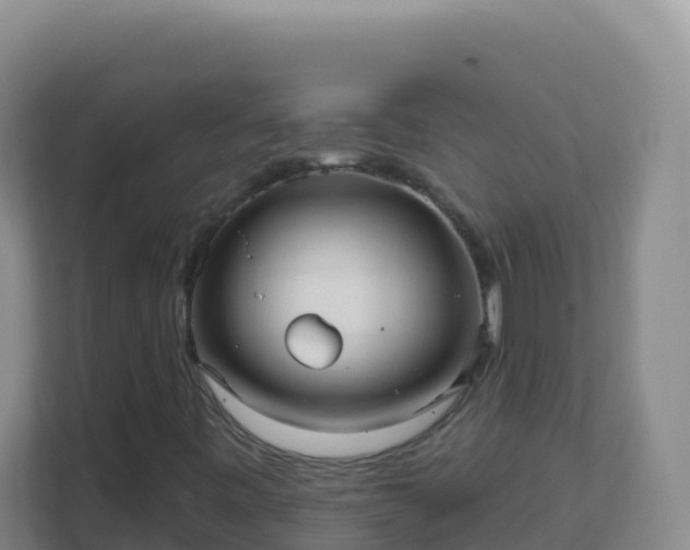 X0000111671443200907241202