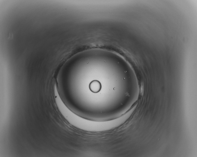 X0000111671444200907241202