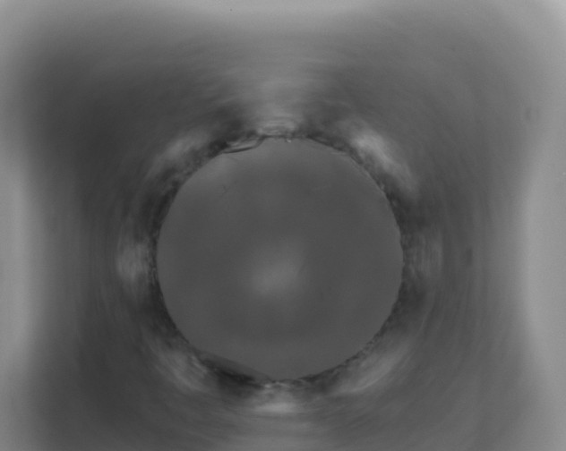 X0000111671445200907241202