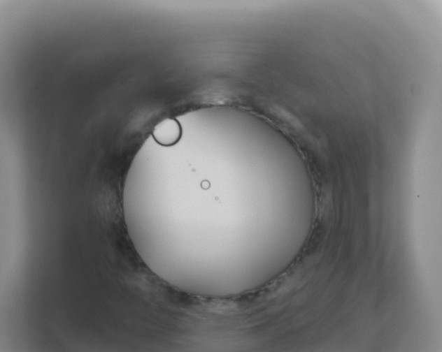 X0000111671446200907241202