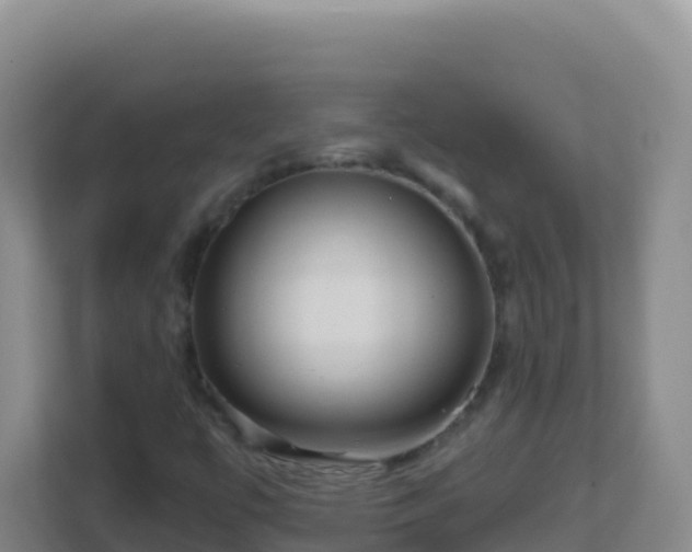 X0000111671447200907241202