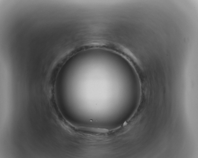 X0000111671448200907241202