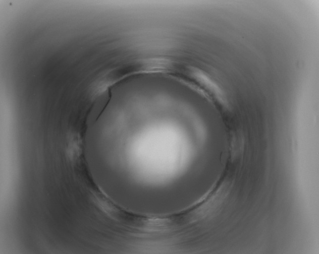 X0000111671449200907241202