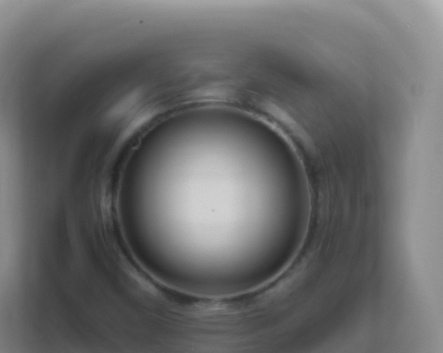 X0000111671450200907241202