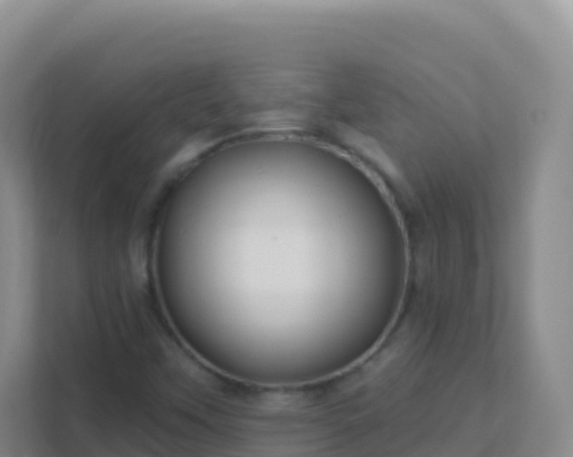 X0000111671451200907241202