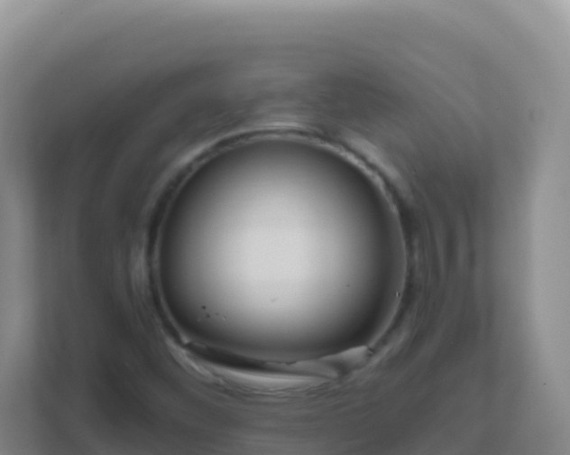 X0000111671452200907241202