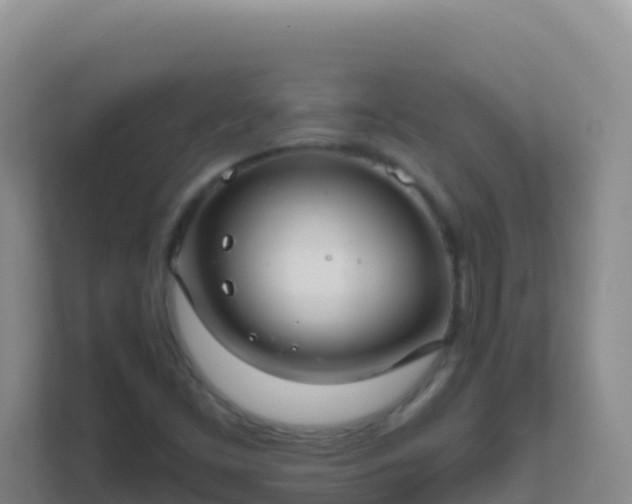 X0000111671453200907241202