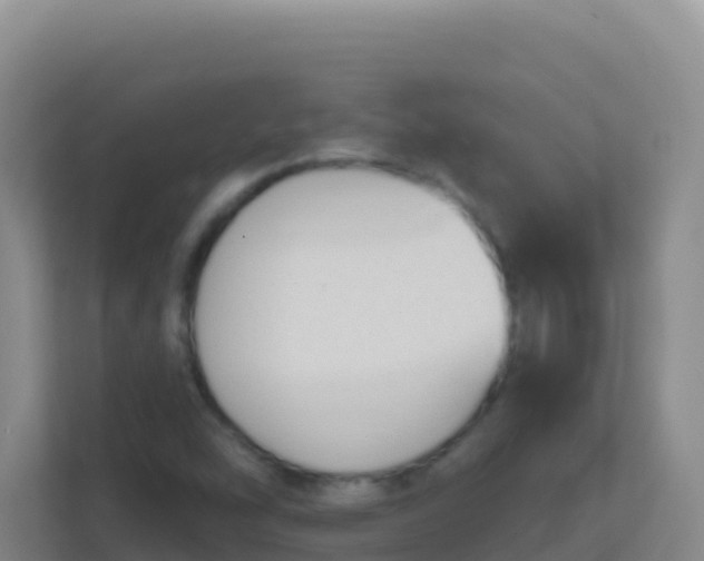 X0000111671454200907241202