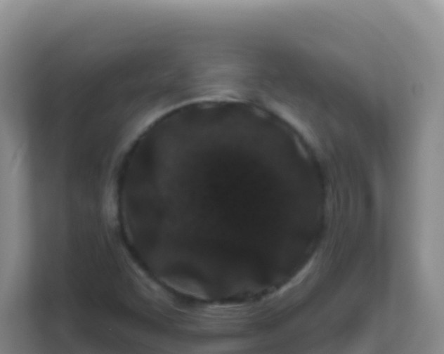 X0000111671455200907241202