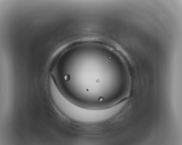 X0000111671456200907241202