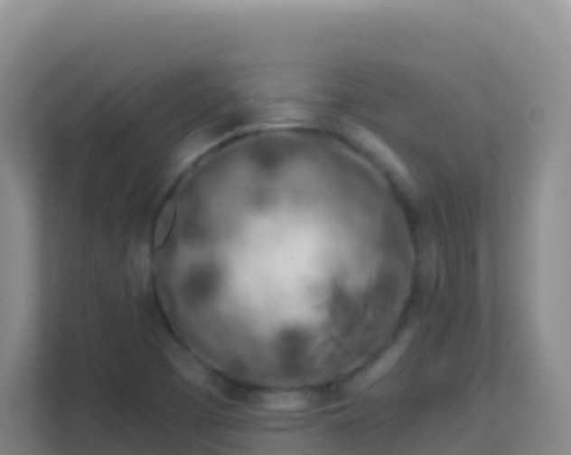 X0000111671457200907241202