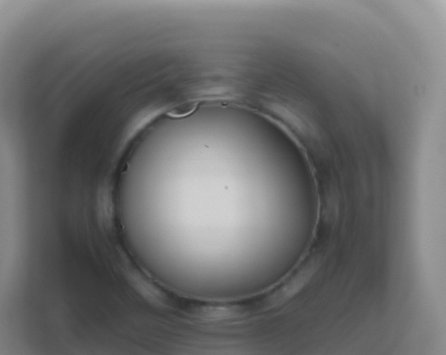 X0000111671458200907241202