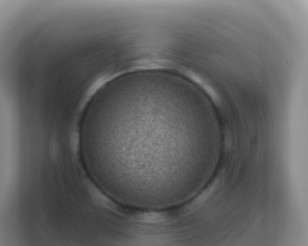 X0000111671459200907241202