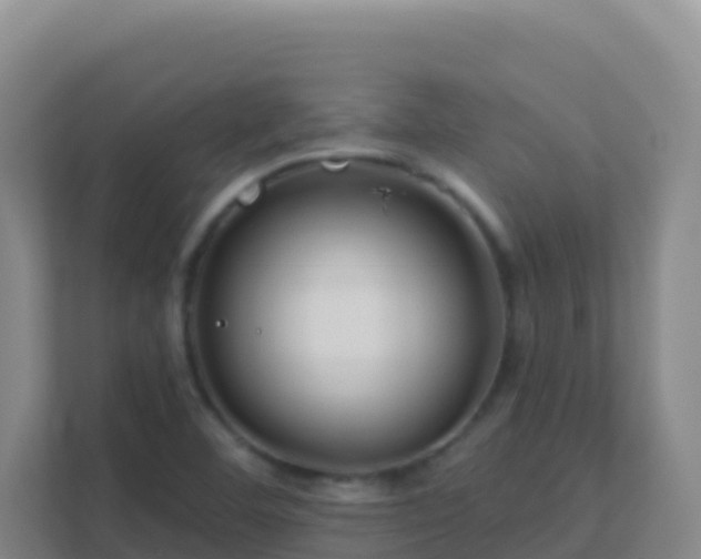 X0000111671460200907241202