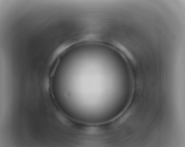 X0000111671461200907241202