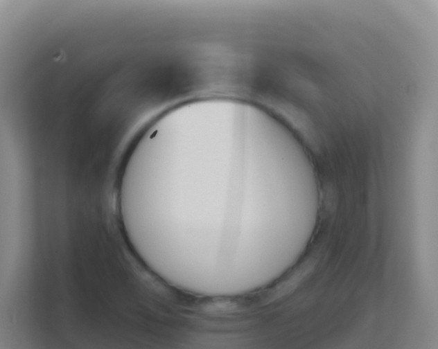 X0000111671462200907241202