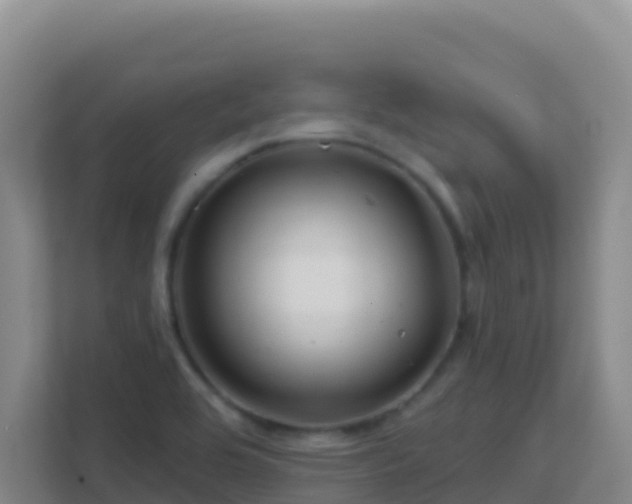 X0000111671464200907241202