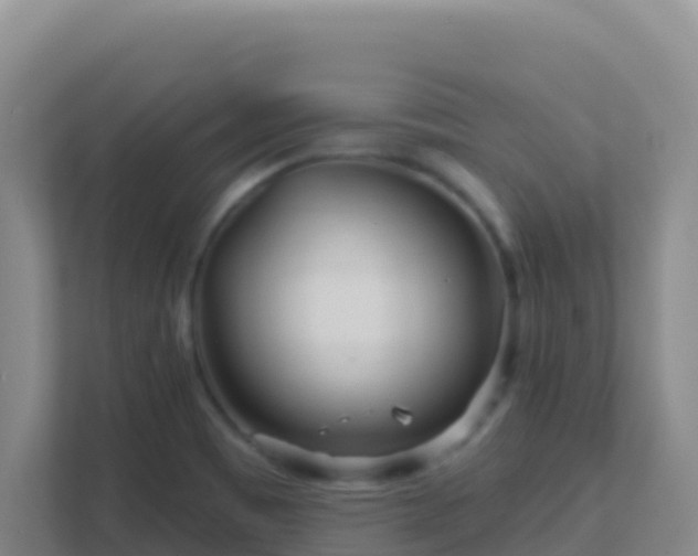 X0000111671465200907241202