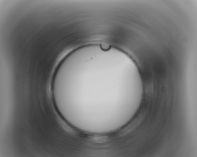 X0000111671466200907241202