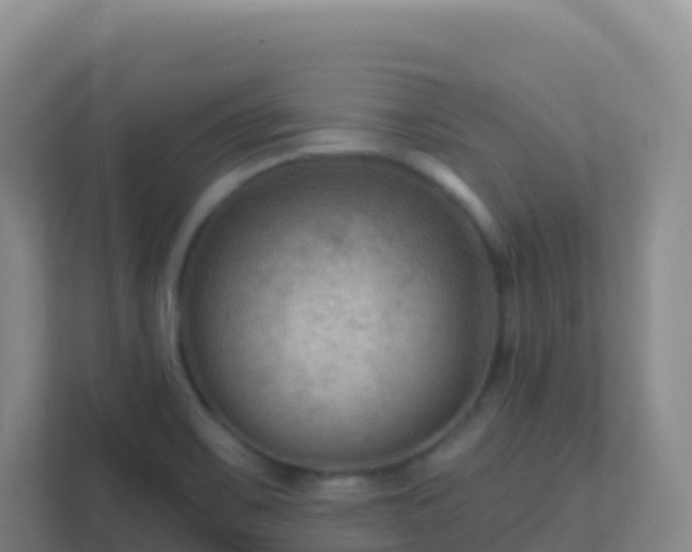 X0000111671467200907241202