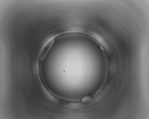 X0000111671468200907241202