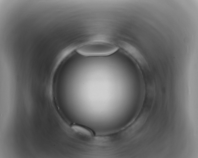 X0000111671469200907241202