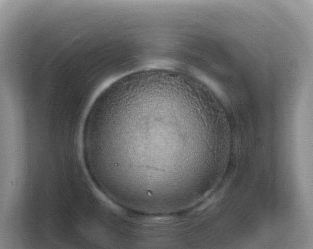 X0000111671471200907241202