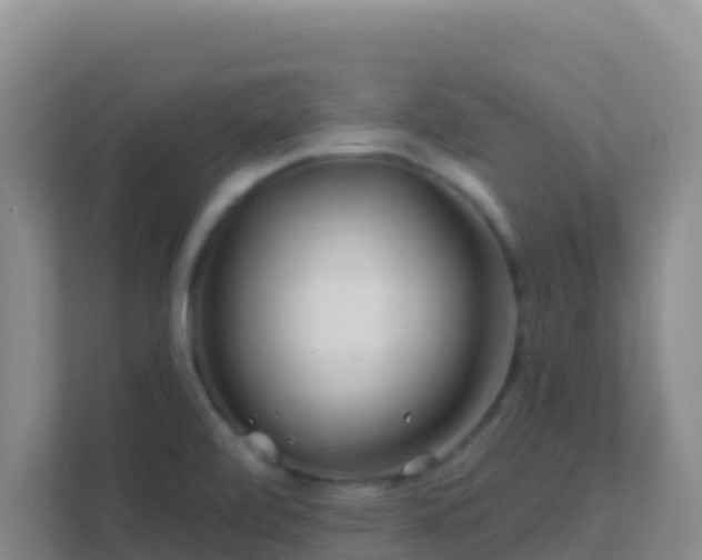 X0000111671472200907241202